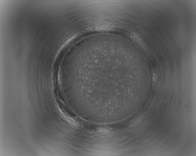 X0000058780684200509301115