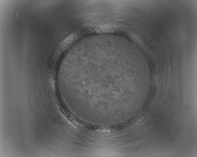 X0000058780687200509301115