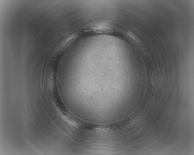 X0000058780690200509301115