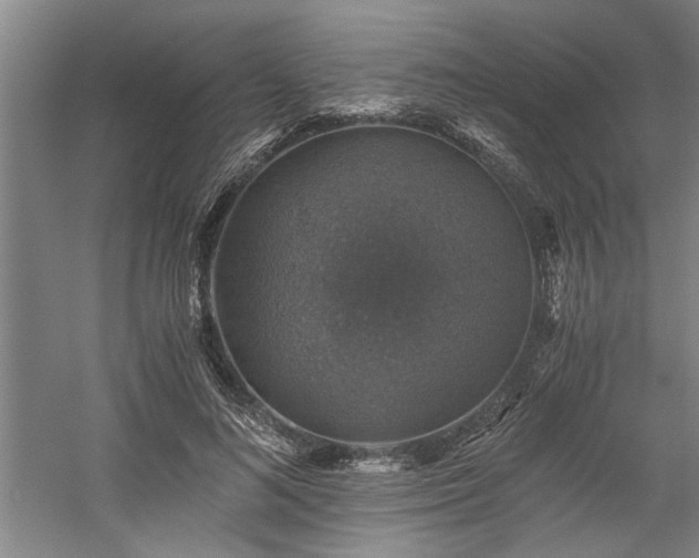 X0000058780692200509301115