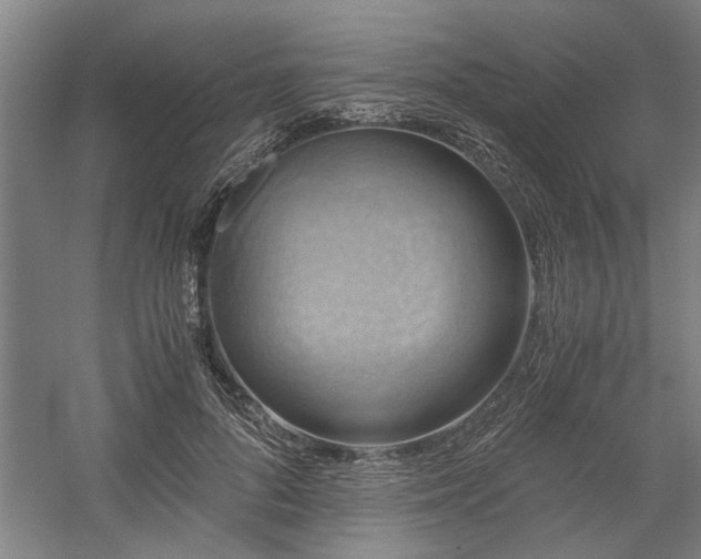 X0000058780696200509301115