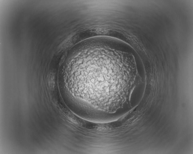 X0000058780697200509301115