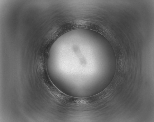 X0000058780698200509301115