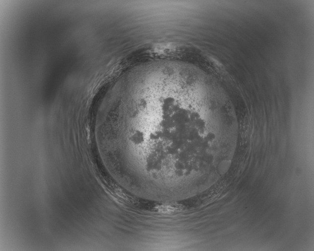 X0000058780703200509301115