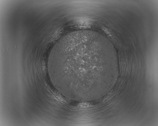 X0000058780704200509301115