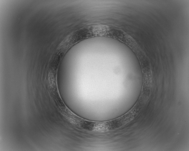 X0000058780705200509301115