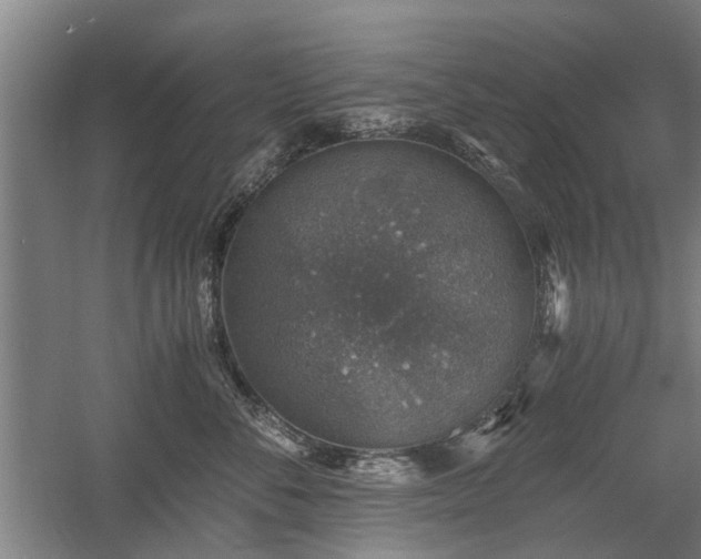 X0000058780716200509301115