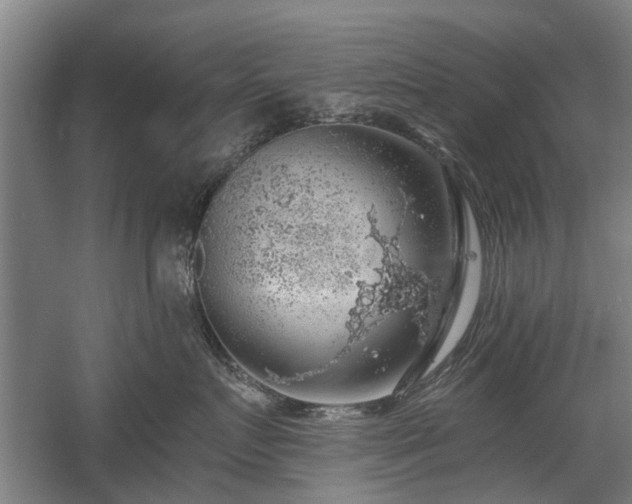 X0000058780719200509301115