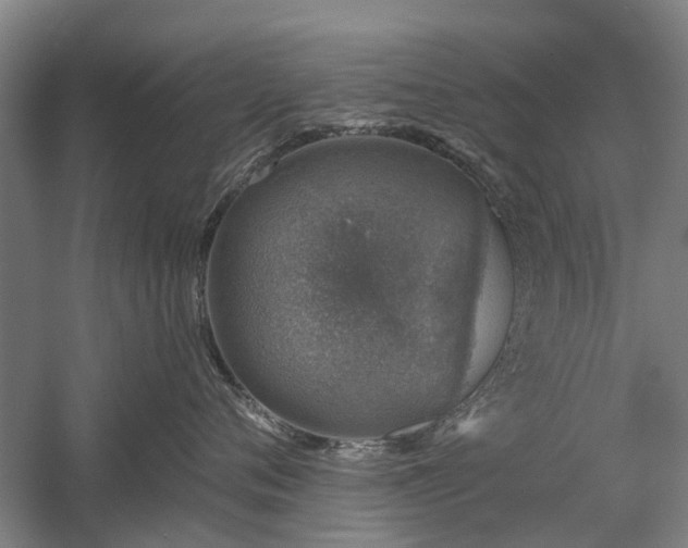 X0000058780720200509301115