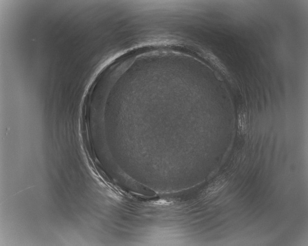 X0000058780724200509301114