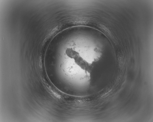 X0000058780729200509301114