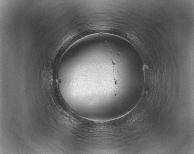 X0000058780731200509301114