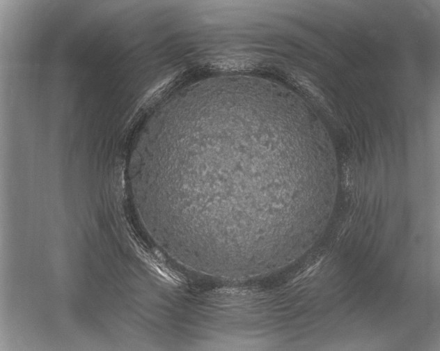 X0000058780733200509301114