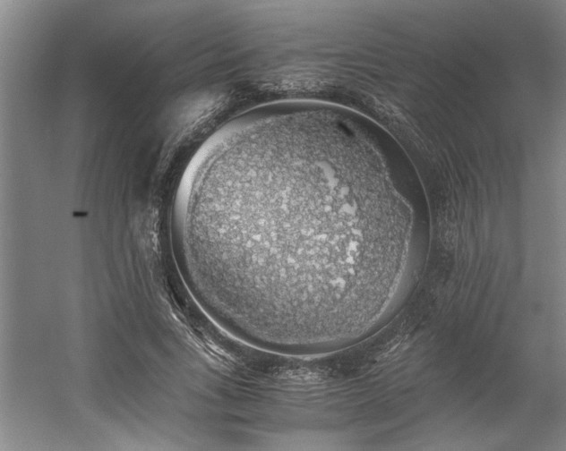 X0000058780735200509301114