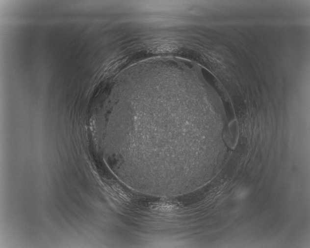 X0000058780743200509301114