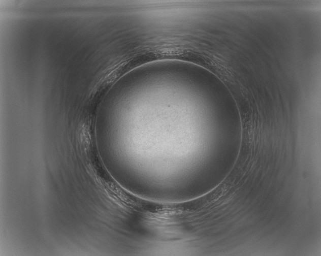 X0000058780746200509301114