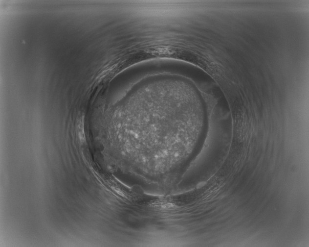 X0000058780747200509301114