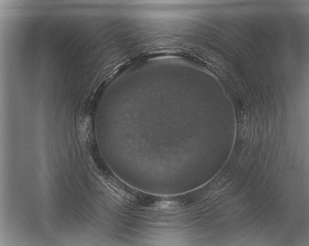 X0000058780748200509301114