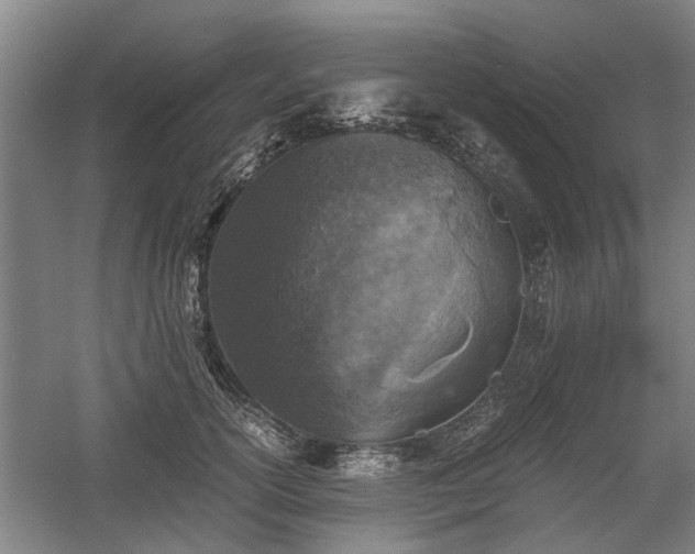 X0000058780754200509301114