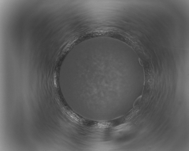 X0000058780758200509301114