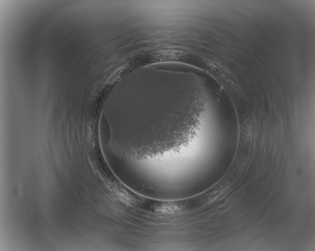 X0000058780759200509301114