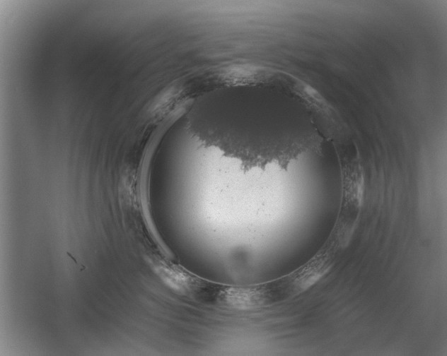 X0000058780766200509301114