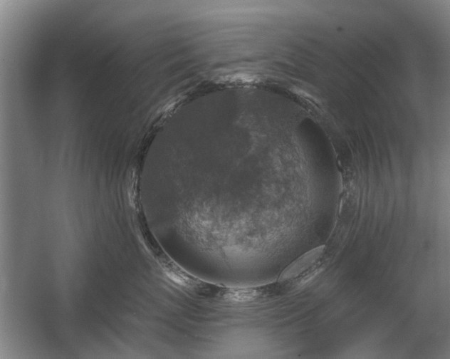 X0000058780767200509301115