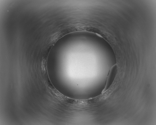 X0000058780768200509301115