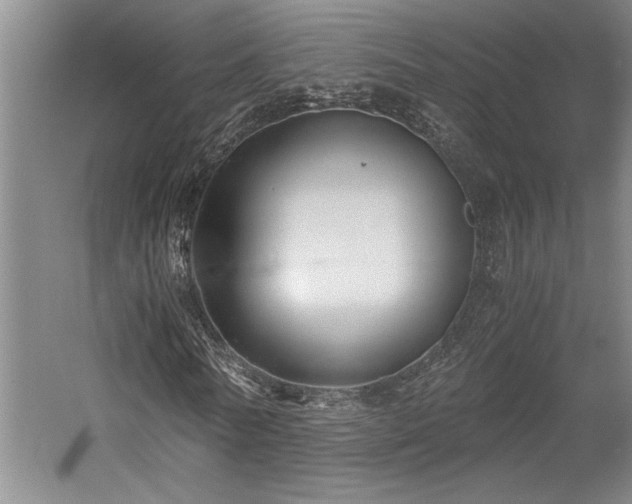 X0000058780770200509301114