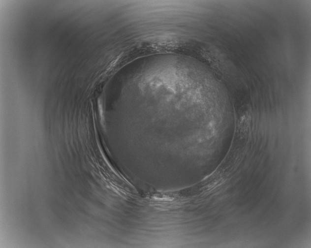 X0000058780772200509301114