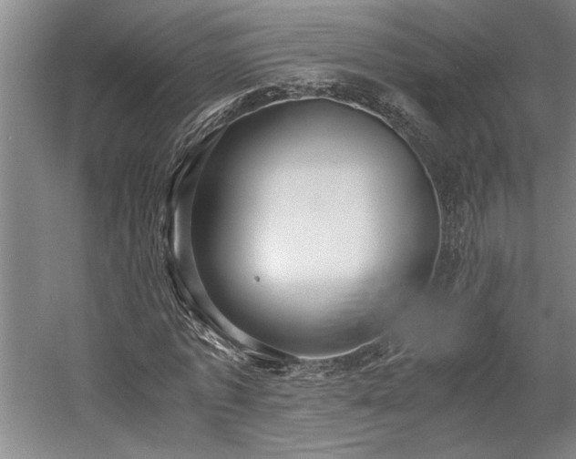 X0000058780773200509301114