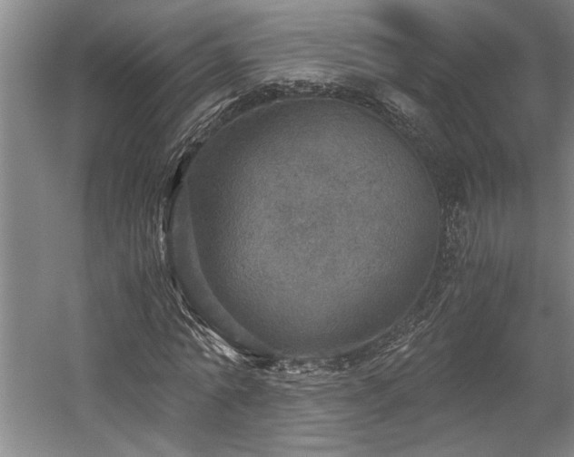 X0000058780774200509301114