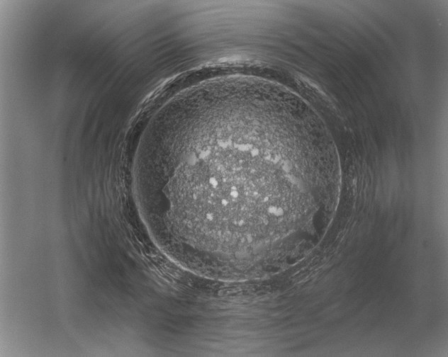 X0000058780776200509301114