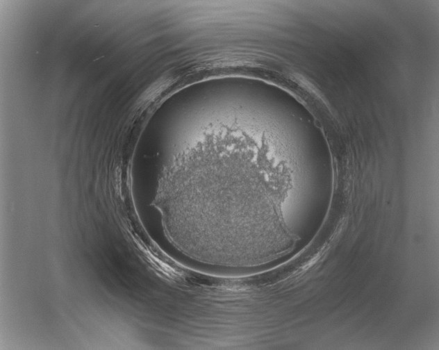 X0000058780777200509301114