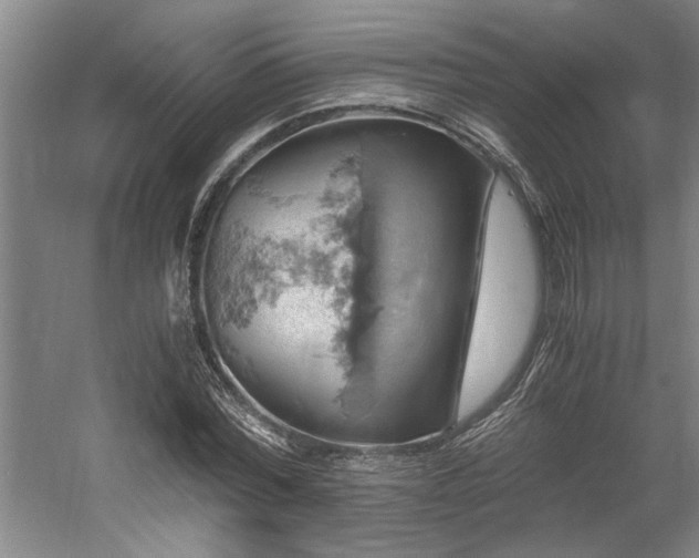 X0000058780780200509301114