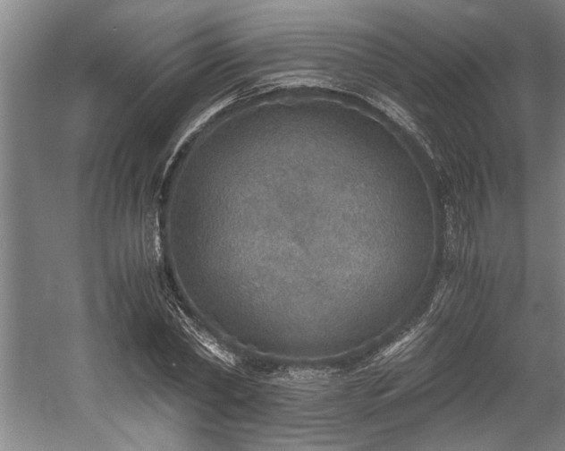 X0000058780782200509301113