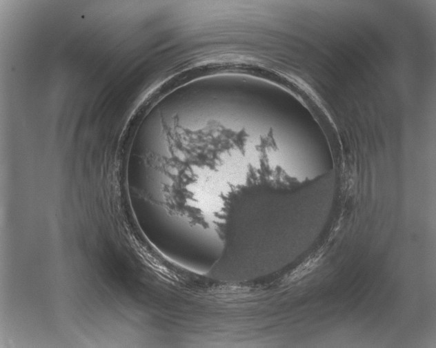 X0000058780783200509301113