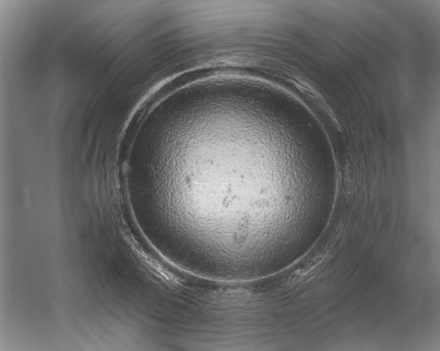 X0000058780784200509301113