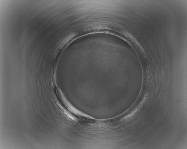 X0000058780785200509301113