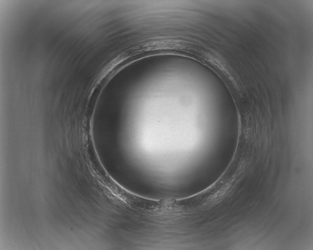 X0000058780786200509301113