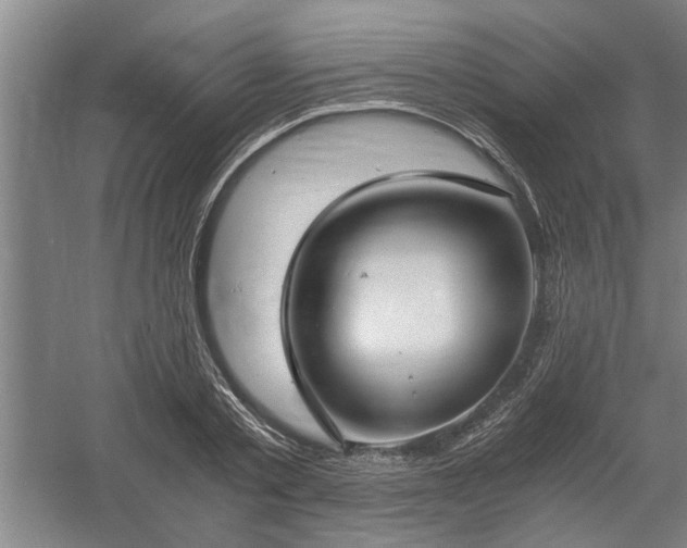 X0000058780789200509301113