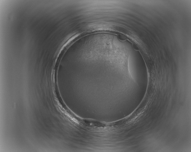 X0000058780790200509301113