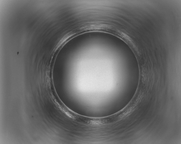 X0000058780794200509301113