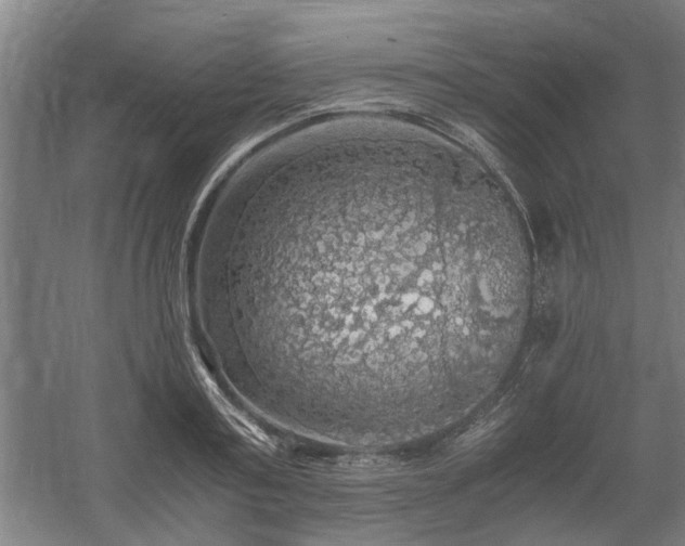 X0000058780795200509301113