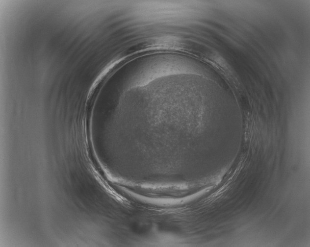 X0000058780796200509301113