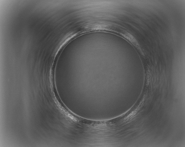 X0000058780798200509301113