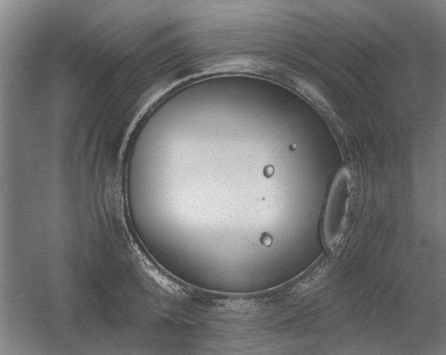 X0000058780800200509301113