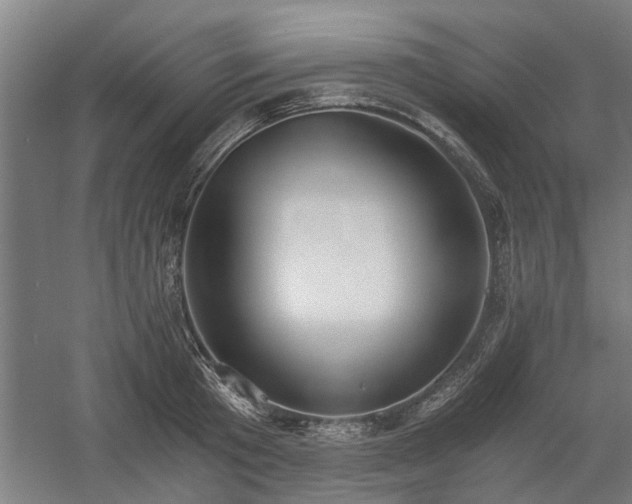 X0000058780801200509301113