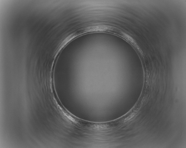 X0000058780802200509301113