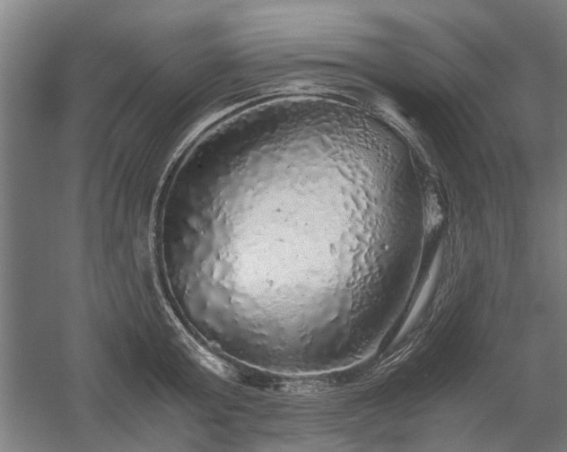 X0000058780803200509301113